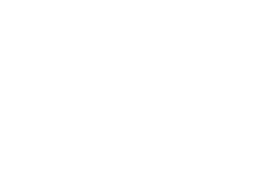 Stella Artois